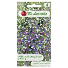 Lobelia przylądkowa zwisła mix 0,2g Legutko