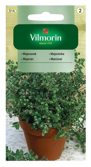 Majeranek 0,5g Vilmorin