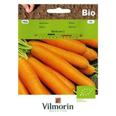Marchew Berlikum 2 5g Bio Vilmorin