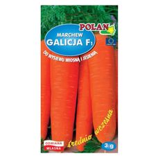Marchew Galicja F1 3g Polan