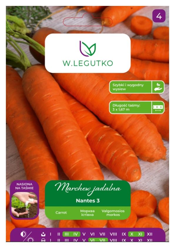 Marchew NANTES 3 - taśma 5m Legutko234
