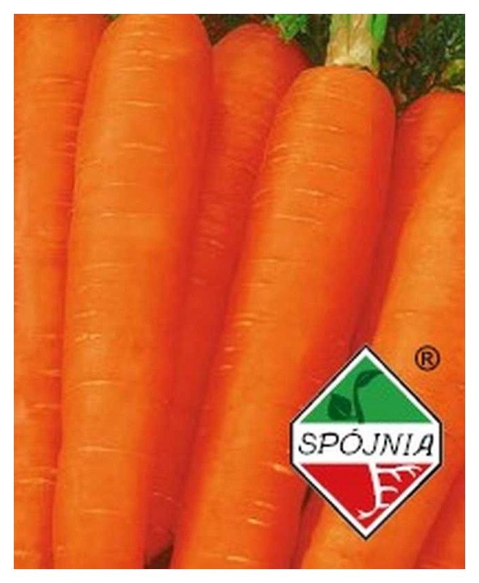 Marchew Sparta 5g F1 Spójnia