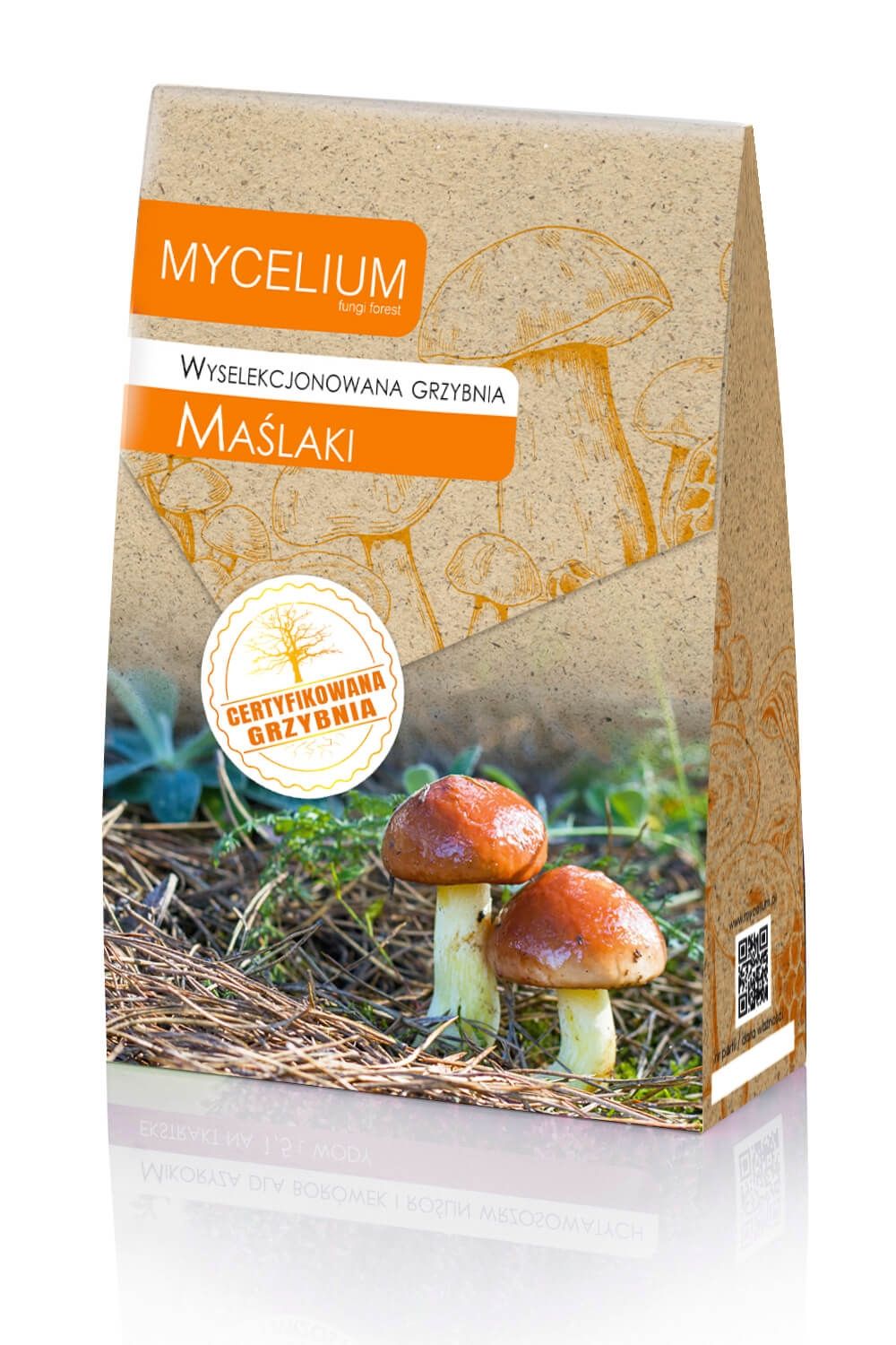 Grzybnia Maślak zwyczajny 120ml Mycelium