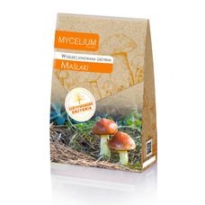 Grzybnia Maślak zwyczajny 120ml Mycelium