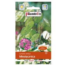Miesięcznica roczna 1g PlantiCo