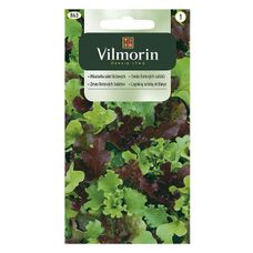 Mieszanka na kiełki Mesclun 0,5g Vilmorin