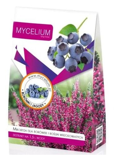 Grzybnia mikoryza dla borówek i roślin wrzosowatych 100g Mycelium