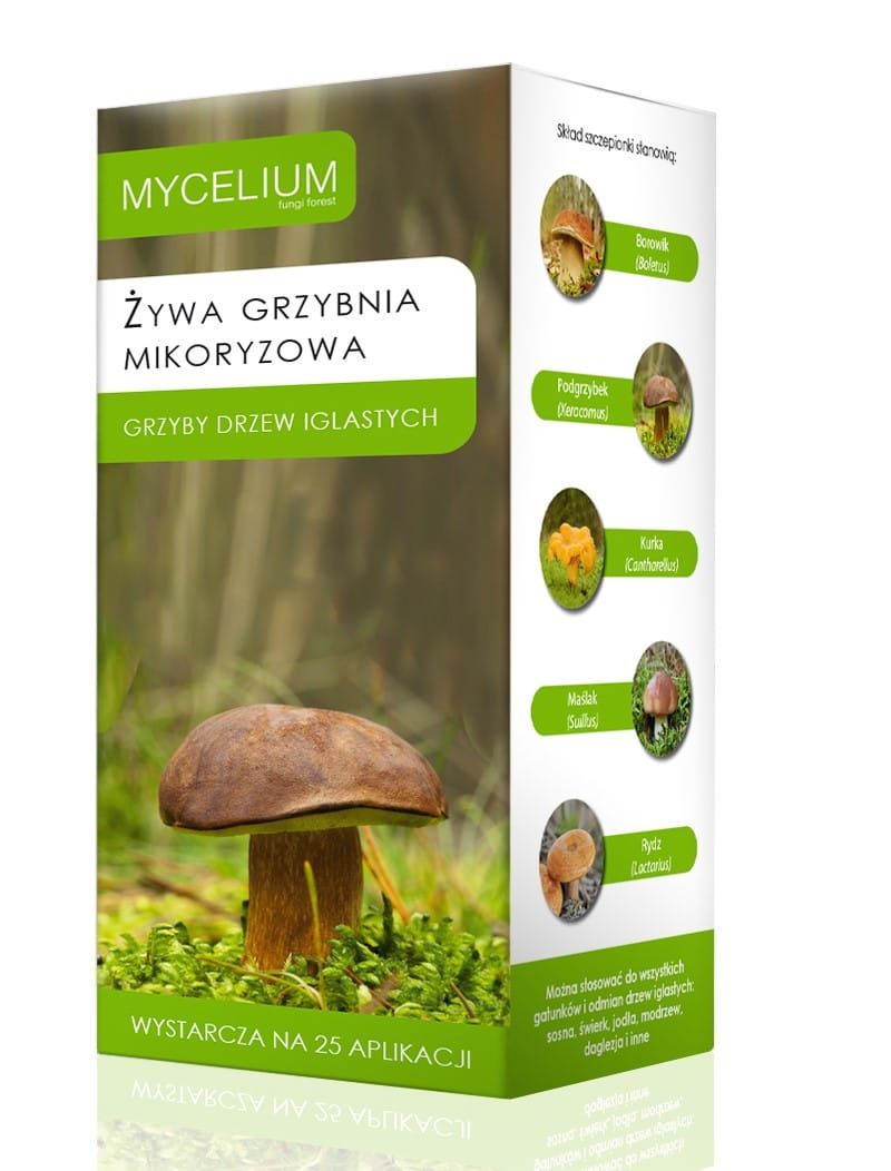 Grzybnia mikoryzowa grzyby drzew iglastych 250 ml Mycelium