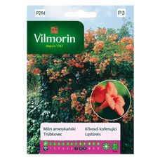 Milin amerykański 0,3g Vilmorin