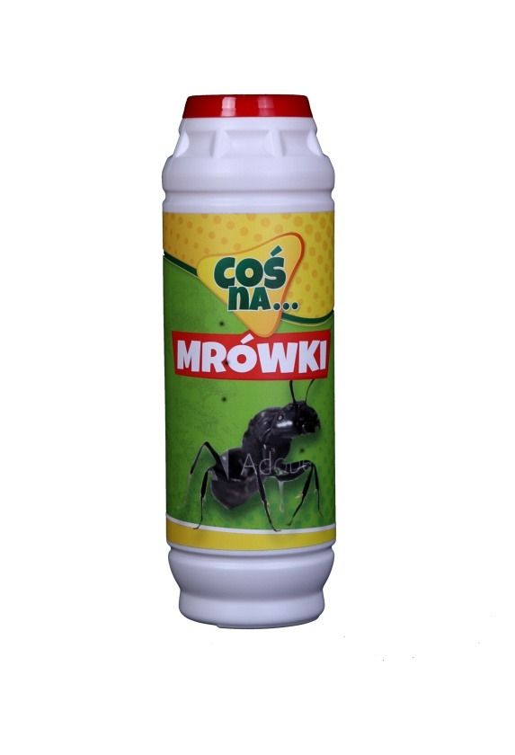 Coś na ... mrówki Asplant 