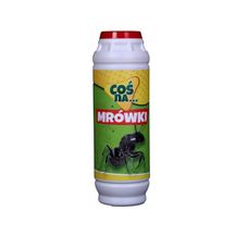 Coś na ... mrówki Asplant