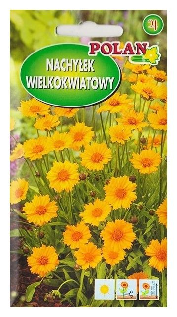 Nachyłek trwały złoto-żółty 1g Polan