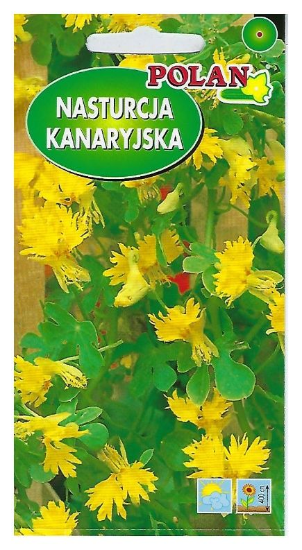 Nasturcja kanaryjska żółta 2g Polan