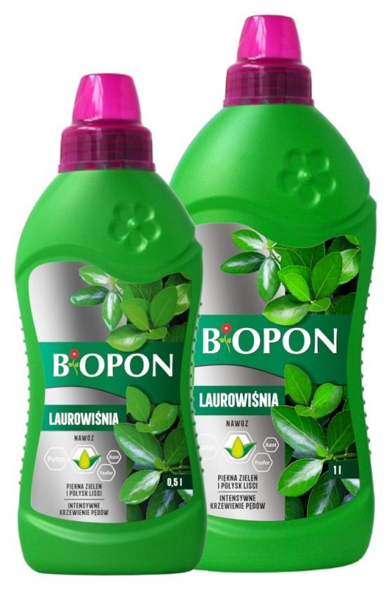Naw&oacute;z do laurowiśni Bopon