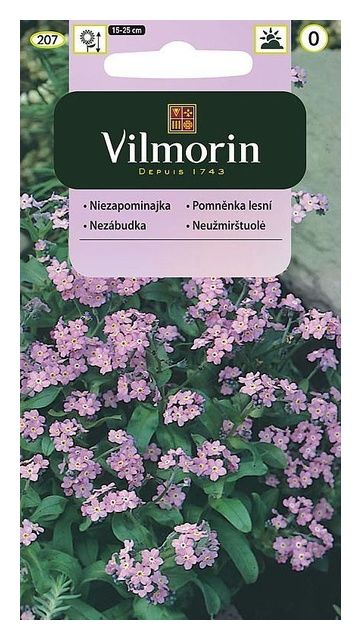 Niezapominajka różowa 0,3g Vilmorin