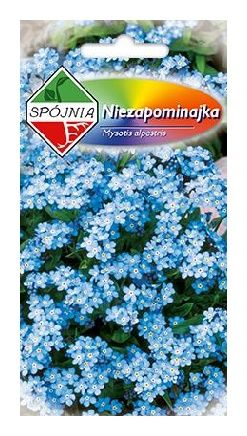 Niezapominajka 0,5g Spójnia