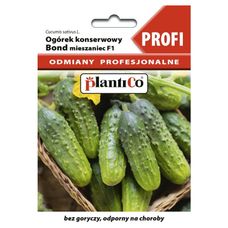 Ogórek Bond F1 Profi 2g Plantico