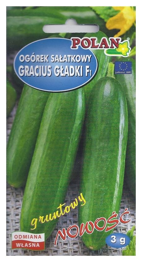 Ogórek Gracius Gładki F1 3g Polan