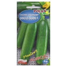 Ogórek Gracius Gładki F1 3g Polan