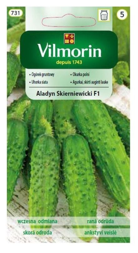 Ogórek gruntowy Aladyn Skierniewicki F1 5g Vilmorin
