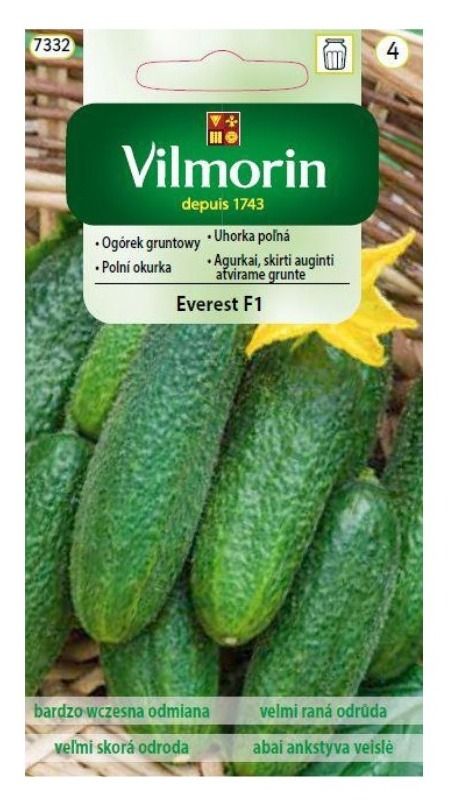 Ogórek gruntowy Everest F1 3g Vilmorin