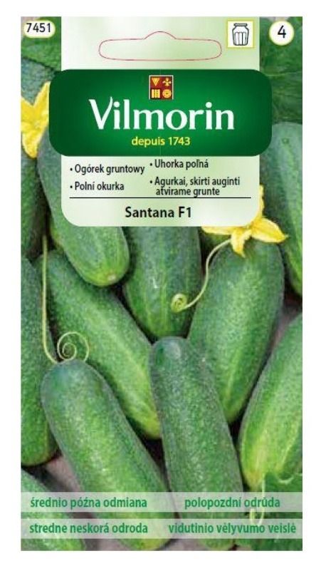 Ogórek gruntowy Santana F1 3g Vilmorin