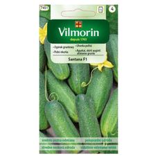 Ogórek gruntowy Santana F1 3g Vilmorin