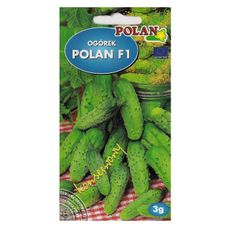 Ogórek Polan F1 Polan