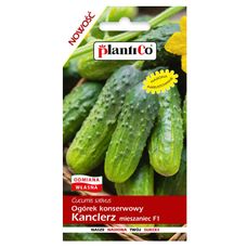 Ogórek konserwowy Kanclerz F1 5g Plantico