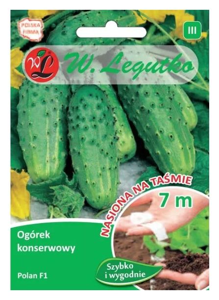 Og&oacute;rek konserwowy Polan F1 - taśma 7m Legutko