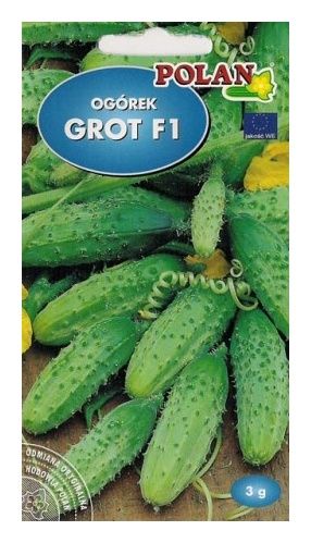 Og&oacute;rek korniszon Grot F1 3g Polan