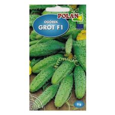 Ogórek korniszon Grot F1 3g Polan