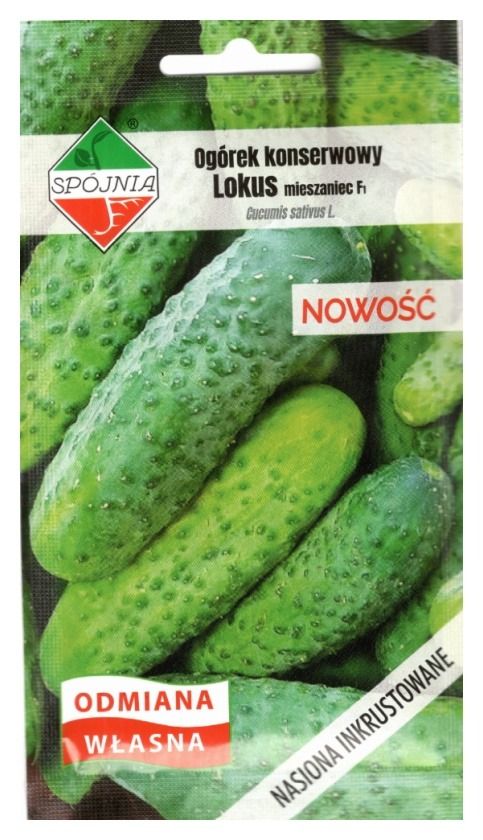 Ogórek Lokus F1 5g Spójnia