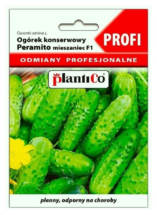 Ogórek Peramito F1 Profi 2g Plantico456