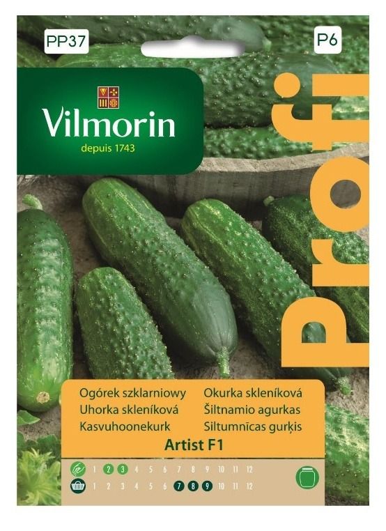 Ogórek szklarniowy Artist F1 Profi 10szt Vilmorin