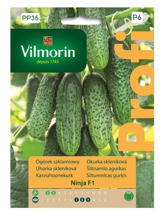 Ogórek szklarniowy Ninja F1 Profi 12szt Vilmorin