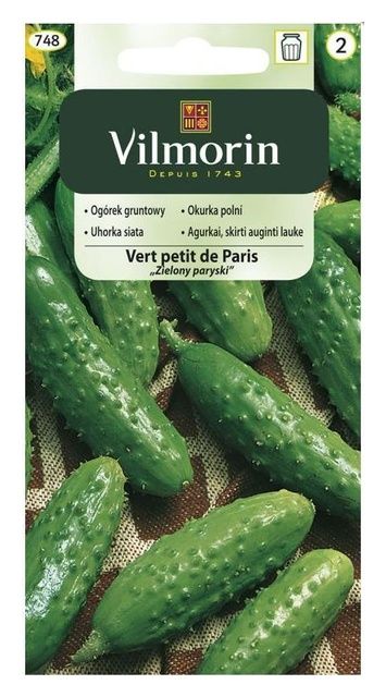 Og&oacute;rek Vert Petit de Paris "Zielony paryski" 5g Vilmorin
