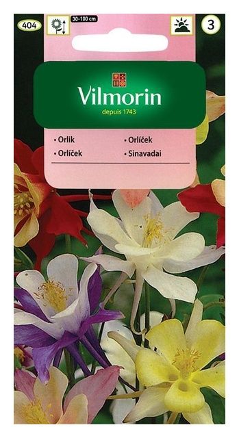 Orlik 1g Vilmorin