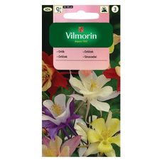 Orlik 1g Vilmorin