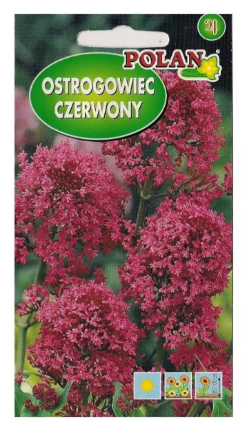 Ostrogowiec czerwony 0,3g Polan