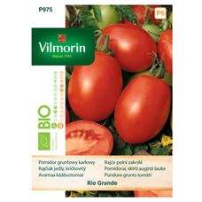 Pomidor Rio Grande 0,5g Bio Vilmorin