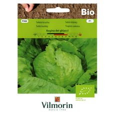 BIO sałata krucha Regina 0,5g Vilmorin