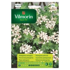 Pelargonia zwisająca biała 7szt Vilmorin