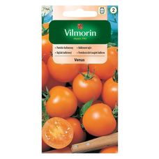 Pomidor balkonowy Venus 0,3g Vilmorin