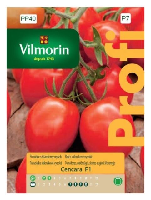 Pomidor Cencara F1 0,2g Vilmorin 