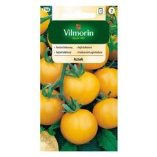 Pomidor koktajlowy Aztek Vilmorin