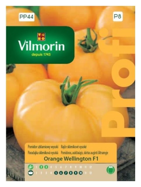 Pomidor szklarniowy wysoki Wellington F1 0.1g Vilmorin 