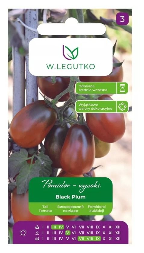 Pomidor Black Plum 0,2g Legutko