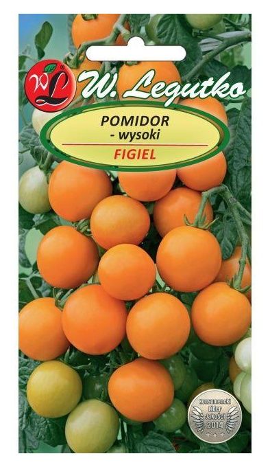 Pomidor gruntowy Figiel 0,5g Legutko | Sklepogrodniczy.pl