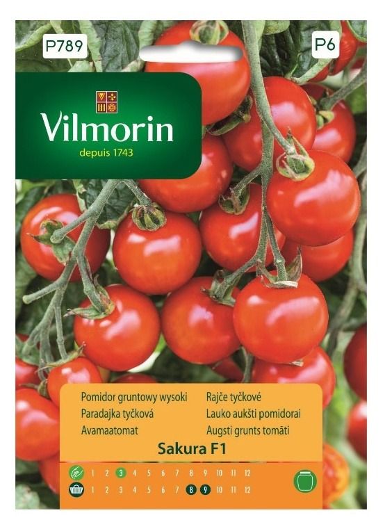 Pomidor gruntowy koktajlowy Sakura F1 9szt Vilmorin